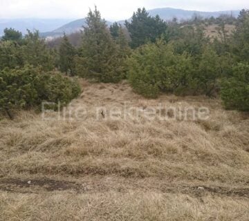 Lipa - prodaja zemljišta, 3931m2 - cover