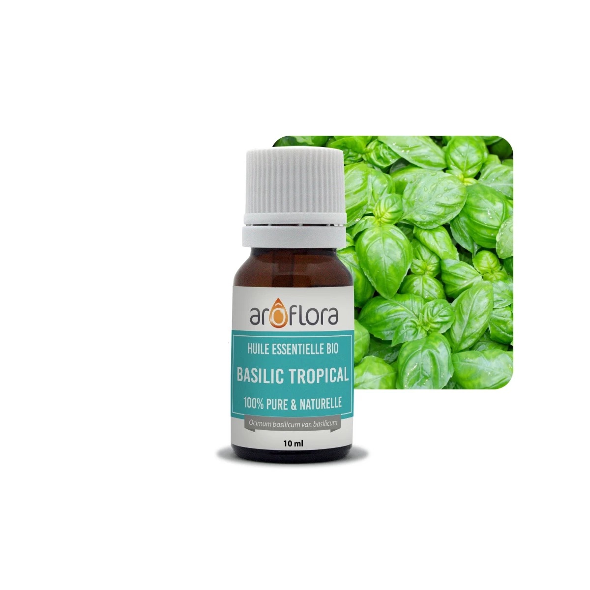 25680-1_organic-essential-oil-ab-of-tropical-basil-100-pure-and-natural-10ml