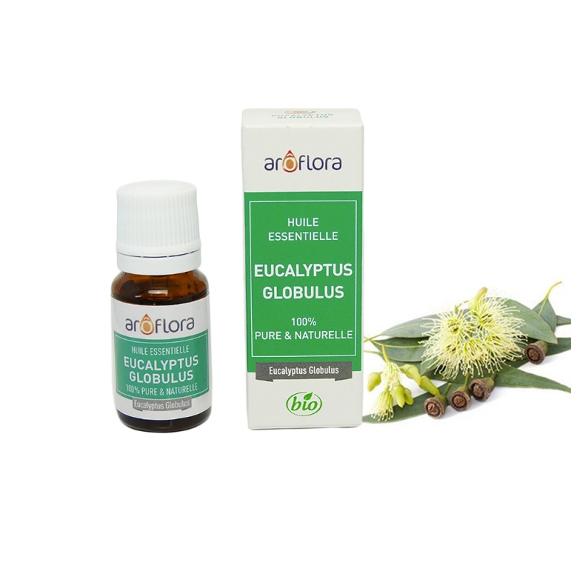 25683-3_eukalyptus