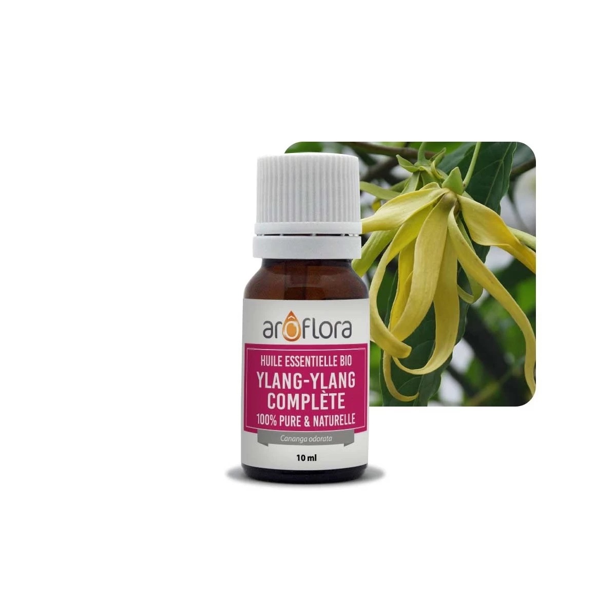 25689-3_huile-essentielle-bio-de-tea-tree-100-pure-et-naturelle-10ml