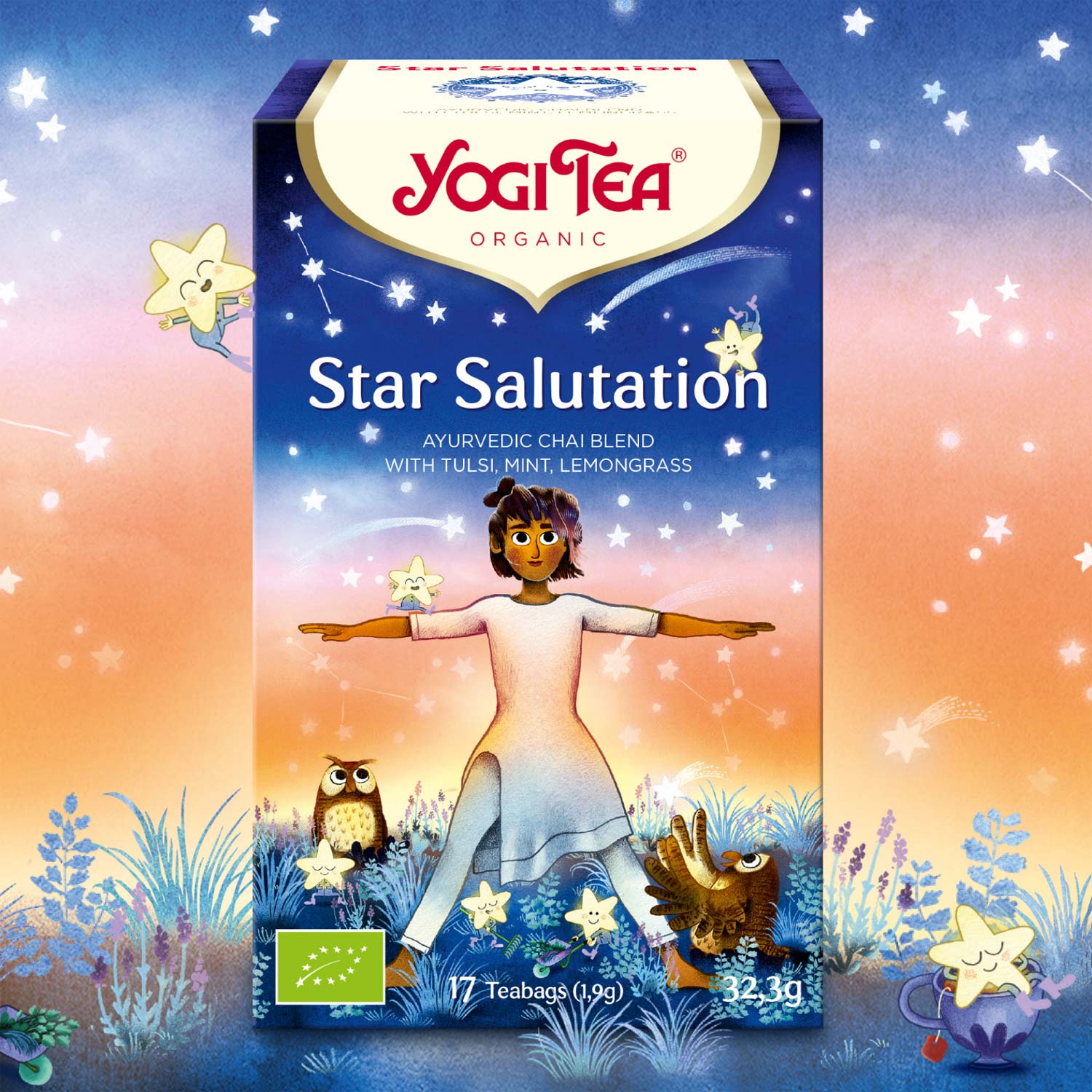 25842_star-salutation-yogi-tea-1