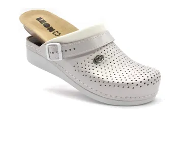 KOŽNE ANATOMSKE KLOMPE, Srebrna, BBCIJ - cover