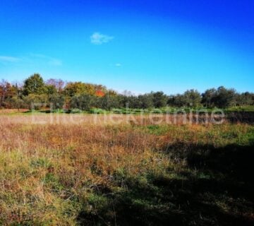 Poreč - prodaja poljoprivrednog zemljišta, 7500 m2 - cover