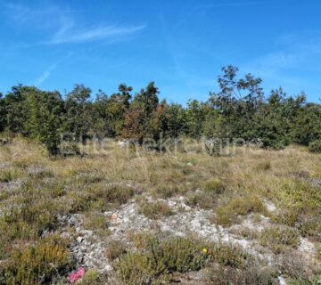 Kukuljanovo - građevinsko zemljište 4.400 m2 - cover