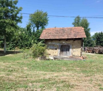 ZAMLJIŠTE PRAPORČAN - cover