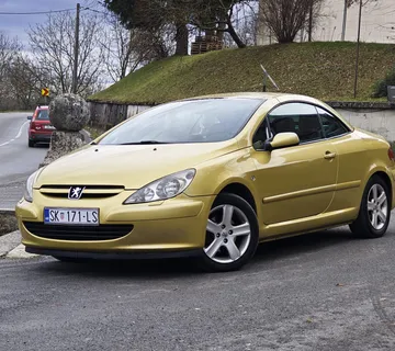 Peugeot 307CC 1.6i REG 5./26. - cover