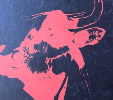 TAURUS Božica Dragaš - cover