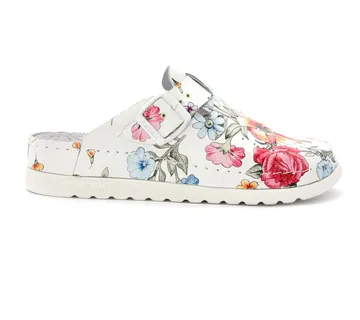 ANATOMSKE KLOMPE, Cvjetna, BBEHF - cover