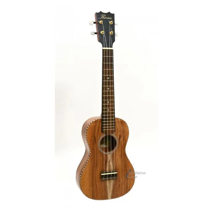 APC CT CONCERTO UKULELE - cover