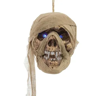 EUROPALMS Mummy skull - cover
