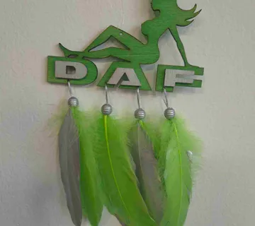 HVATAČ SNOVA-DAF - cover