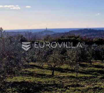 Istra, Rovinj, projekt s dozvolom za gradnju kuće 120m2 na zemljištu s maslinikom 16000m2 - cover