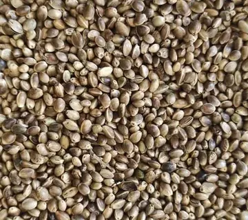 KONOPLJA ZA PTICE 1kg - cover