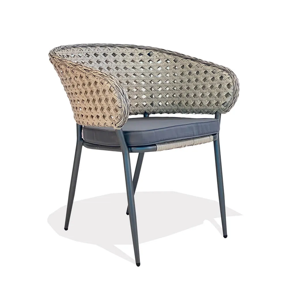 Stolica HALS - cover