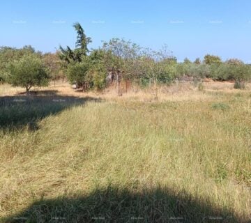 Građevinsko zemljište Prodaje se građevinsko zemljište, BUJE, 900 m2 sa pogledom na more - cover