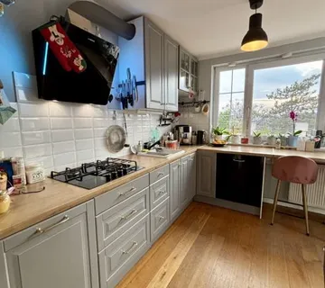 3-SOBNI PENTHOUSE S TERASOM I BALKONOM, POGLED NA ZELENILO (prodaja) - cover