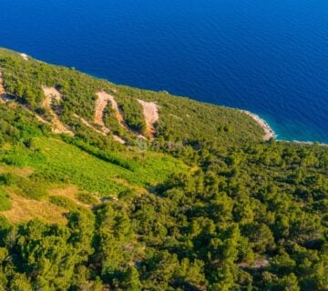 Poljoprivredno zemljište, Prvi red do mora-Dingač,Pelješac - cover