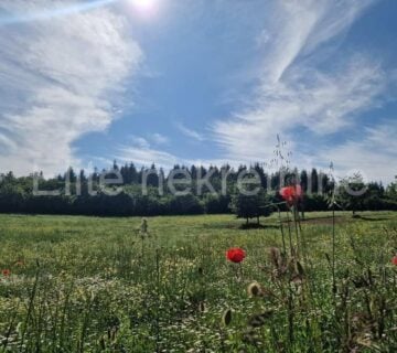 ISTRA, Vižinada - prodaja poljoprivrednog zemljišta od 10.000m2! - cover