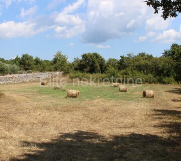 Istra, okolica Orbanići, poljoprivredno zemljište, 21580m2 - cover