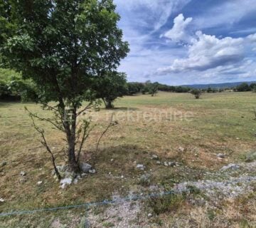 Čavle - prodaja građevinskog zemljišta od 5300 m2 - cover