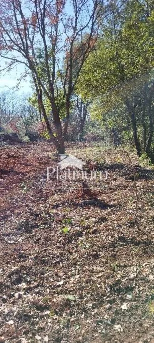 Istra,Duga uvala zemljište veličine 427m2 - cover