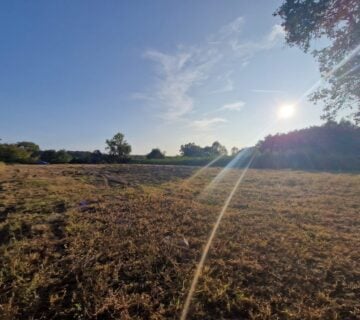 PRODAJA, PISAROVINA, GRAĐEVINSKO ZEMLJIŠTE, 4.100 M2 - cover