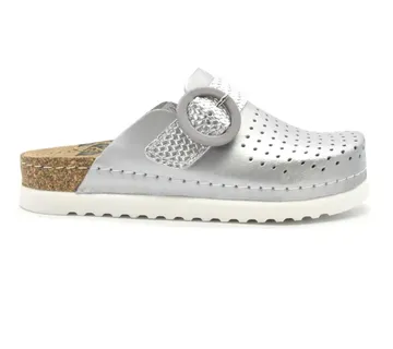 ANATOMSKE KLOMPE, Srebrna, BBAGA - cover