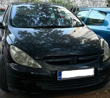 Peugeot 307 2.0 - cover