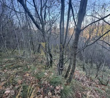 Prilika! Poljoprivredni tereni u Draguću - cover