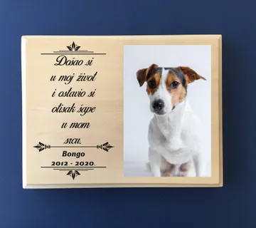 In memoriam- sjećanje na kućnog ljubimca - cover