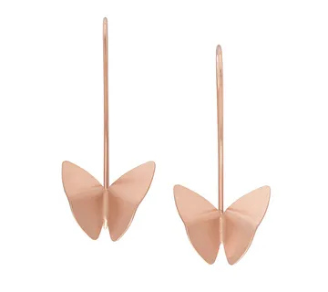 Leptir naušnice - cover