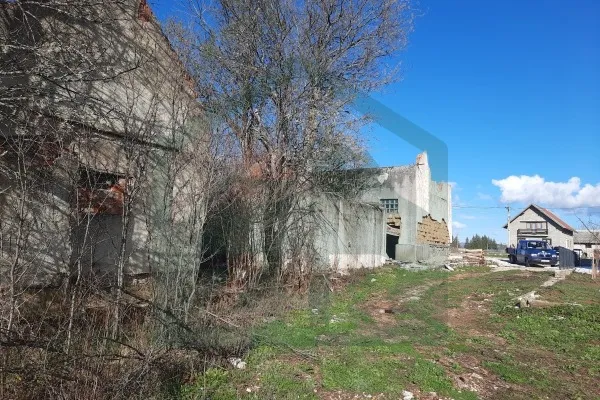 Fotografija