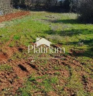 Istra,Pavićini poljoprivredno zemljište na prodaju - cover