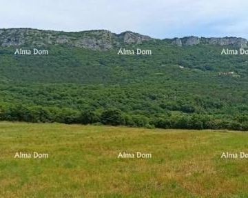 Buzet! Građevinsko zemljište, 1200m2. - cover