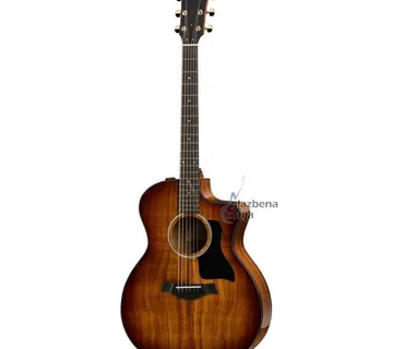 TAYLOR 224ce-K DLX - cover