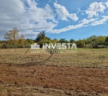 Okolica Svetog Lovreča, maslinik 13300 m2 - cover