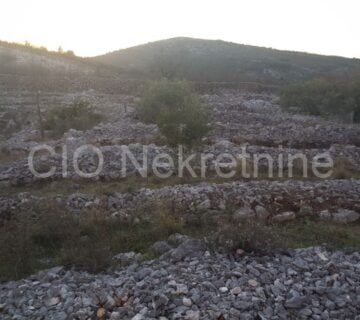 Sapina Doca, poljoprivredno zemljište, prodaja - cover