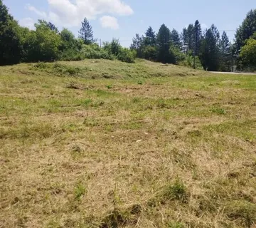 SNIŽENO Građevinsko zemljište, Drežnik Grad, 28.000 m2 - cover