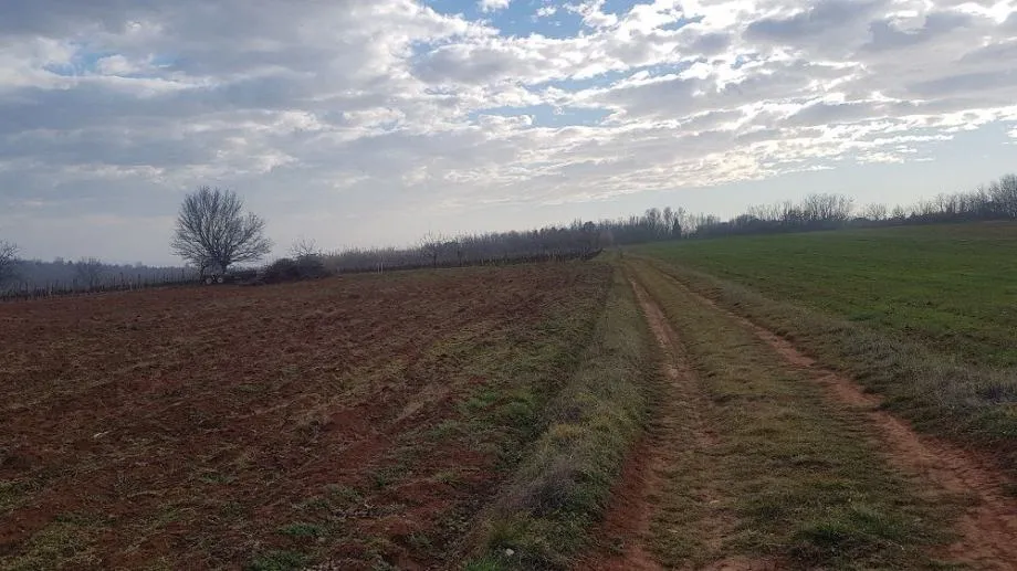KAŠTELIR- LABINCI-POLJOPRIVREDNO ZEMLJIŠTE NA PRODAJI - cover