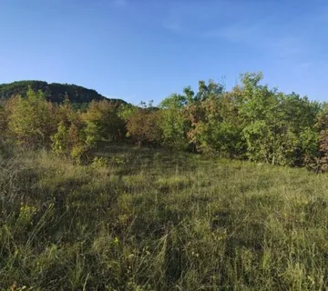 Istra Paz veliko poljoprivredno zemljište. - cover