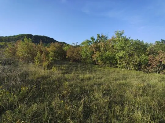 Istra Paz veliko poljoprivredno zemljište. - cover