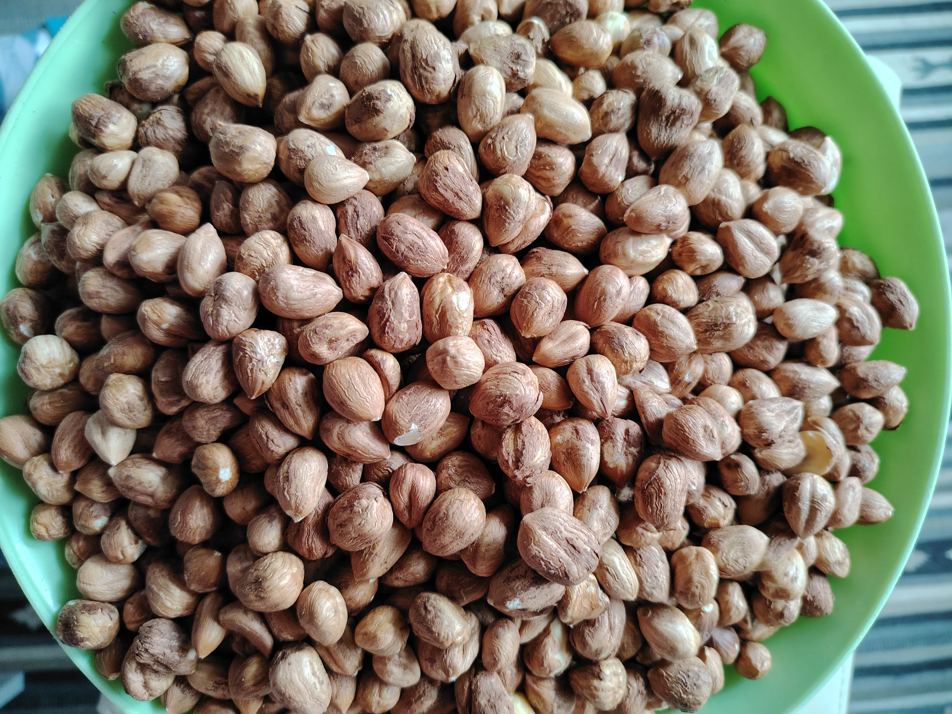 Nasad lješnjaka - cover