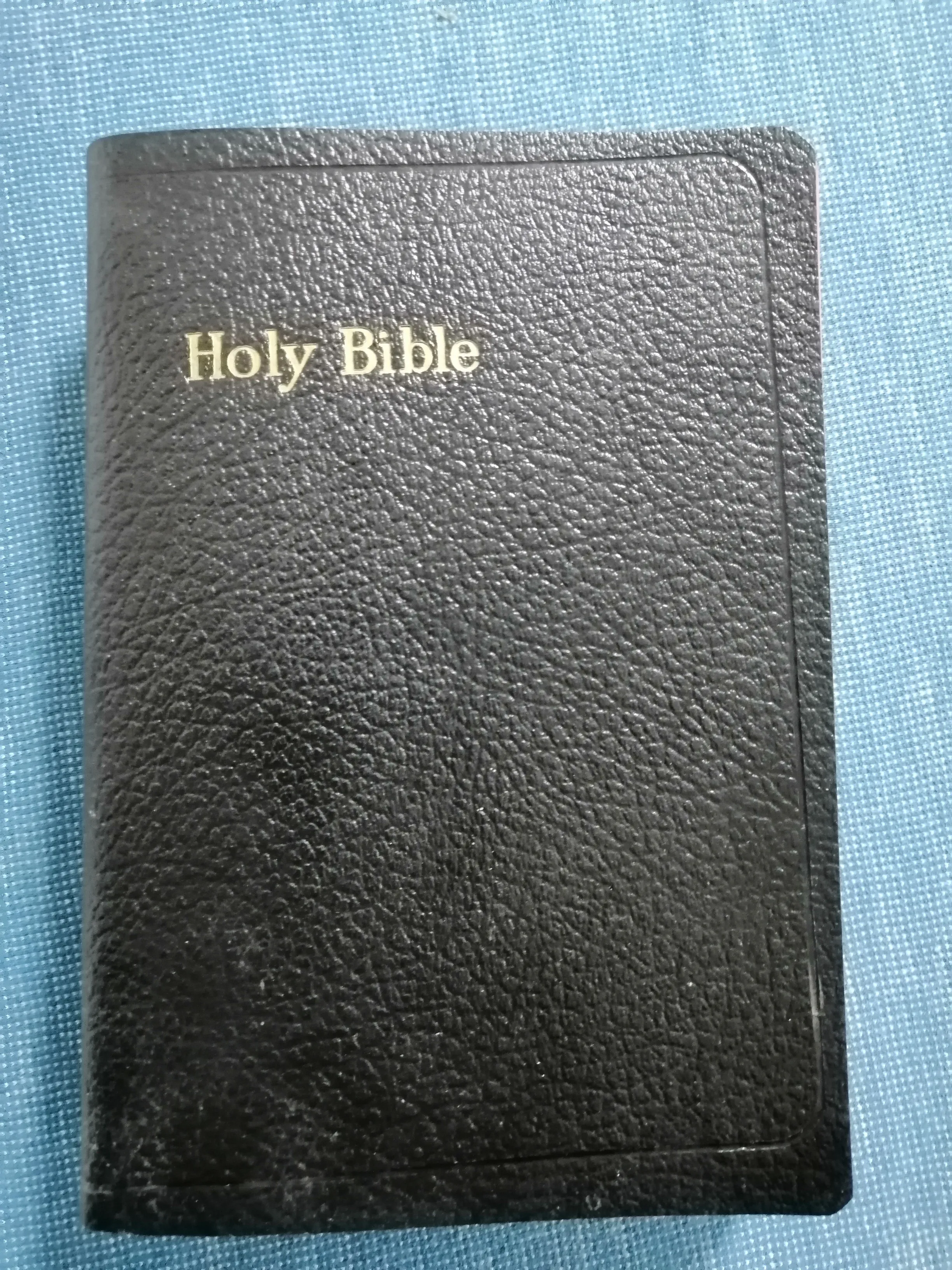 The Holy Bible – Biblija na engleskom jeziku - cover