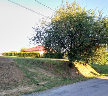 Prodaje se građevinsko zemljište u Repušnici - cover