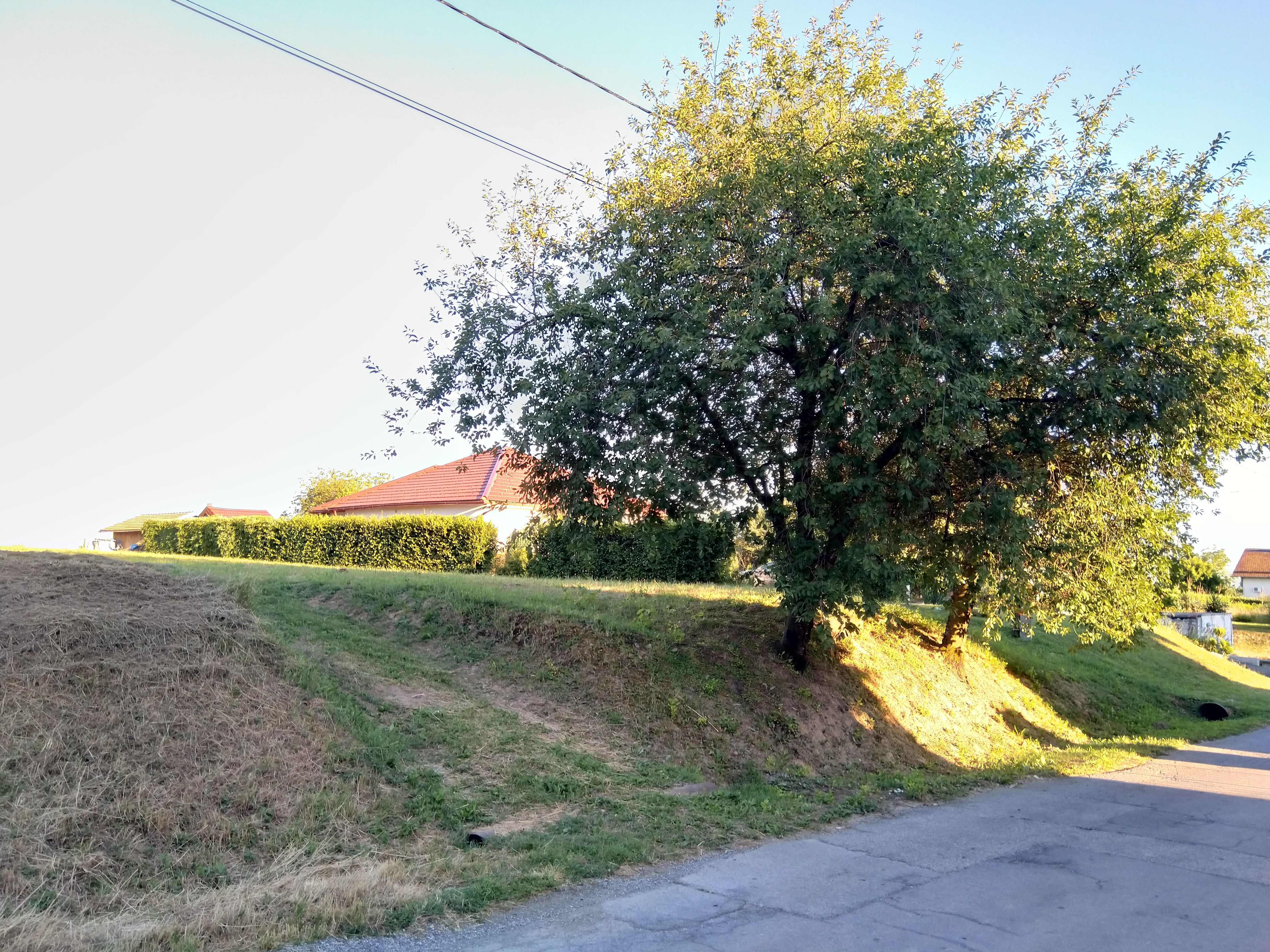 Fotografija