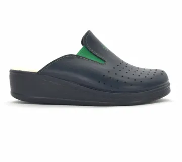 ANATOMSKE KLOMPE, Plava, JICA - cover