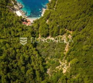 Mljet, Babino Polje Građevinsko zemljište 6.515 m2 (70m od mora) - cover