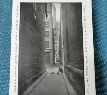 Haruki Murakami – Kafka na žalu - cover