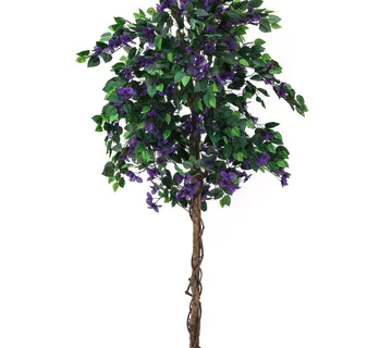 EUROPALMS Bougainvillea, lavender, 180cm - cover