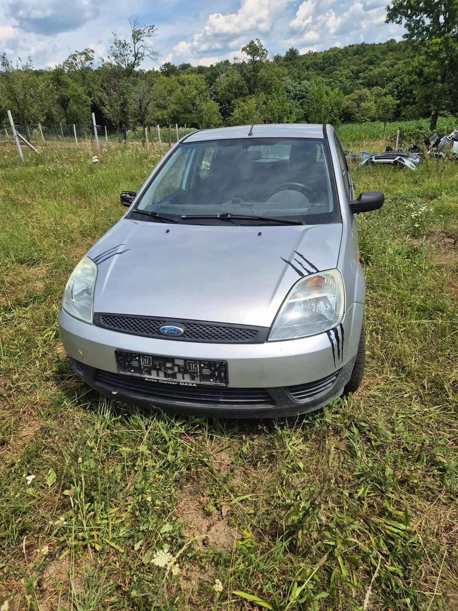 Vrata za Ford osobna vozila - cover